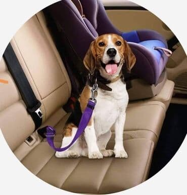 njemački ovčar štene: Sigurnosni pojas za ljubimce 1600 din Jednu stranu pojasa zakačite — 2