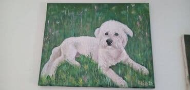 kvazimodo slike: Slika, 25 x 18 cm, Novo — 1