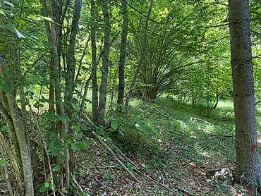 prodaja placeva bor: Na prodaju placevi različitih površina – 10a, 20a, 50a i 1ha.   — 6