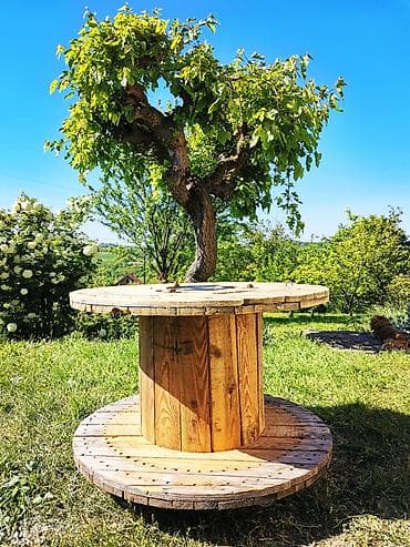 svetleće drvo: Baštenski sto sa kiblom točkovi novi kibla nova visina 59 cm — 1