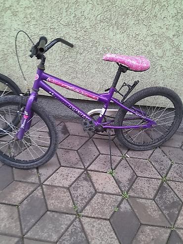 pepco deca: Dečiji bicikl „Thema“ – ljubičasti - Veličina točkova: 20 inča — 3