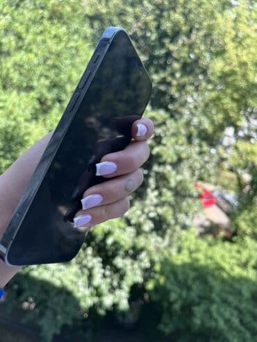 iphone 256gb: Apple iPhone iPhone 12 Pro, Graphite, Face ID — 1