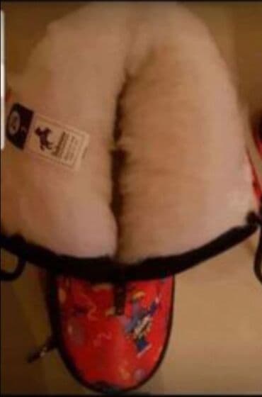 Papuče: Nove cizme za devojcice, tople, br.24, made in Italy, sa na lalafo.rs — 5 Papuče: Nove cizme za devojcice, tople, br.24, made in Italy, sa — 5