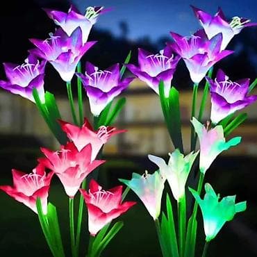 saw palmetto cena: Solarni svetleci LJILJAN sa cetiri cveta（2 Kom）
Cena: 2200 din — 1