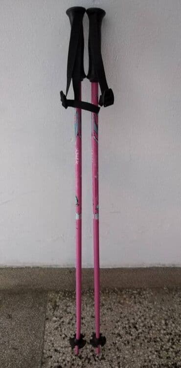 principi ekonomije za prvi razred pdf: Ski stapovi Tecnopro,Italy (duzina 90 cm)ocuvani — 1