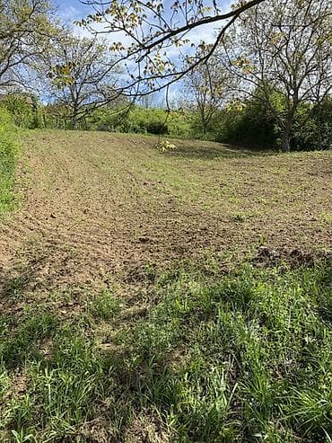 prodaja kuca vrsac hitno: Zemljiste u gradjevinskoj zoni u Čerevicu-Fruska gora - Tip — 3