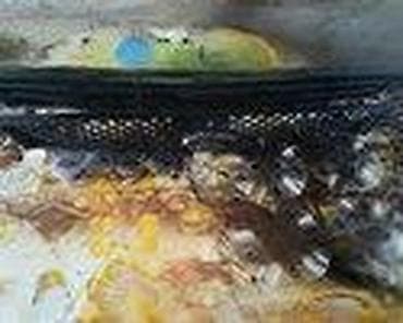 gume za opruge: CEPOVI ZA FELNE ZA FORD MONDEO | FORD velika ponuda delova Na — 1