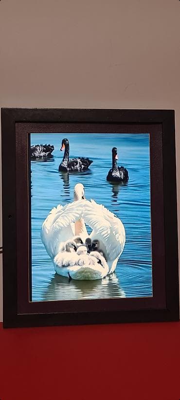 ram za fotografije: ▪︎ Digitalni foto‑ram sa ekranom u drvenom ramu: Compositor — 2