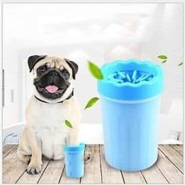 Naši najbolji prijatelji zahtevaju česte šetnje, nakon kojih uglavnom