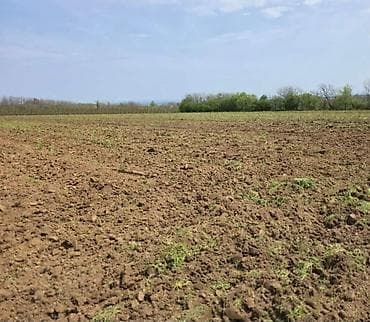 oglasi za izdavanje stanova kragujevac: Poljoprivredno zemljište – Smederevo (lokacija ucratana na mapi) - — 3