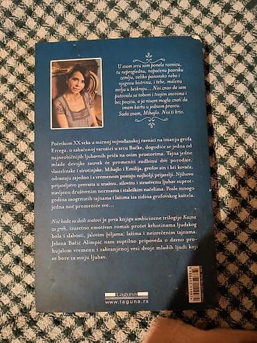 bogner beograd: Knjiga: Kazna za greh – Knjiga prva: Noć kada su došli svatovi Autor — 2