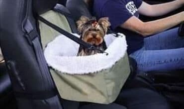 Sedište - Nosiljka za pse za auto - Cena 1400 din Omogućite Vašem