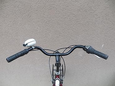 Umetnost i kolekcionarstvo: Bicikli za odrasle — 10