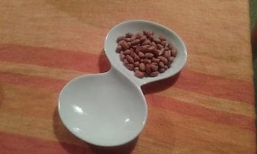 Houseplants: Porcelanska cinija za grickalice,semenke,bombone,i slicno fina bela — 1