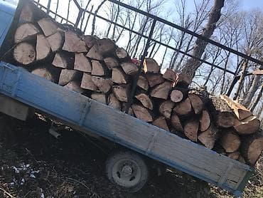 Ostali proizvodi za kuću: Ogrevno drvo – tvrda listopadna stabla u oblovini i krupno cepanim — 1