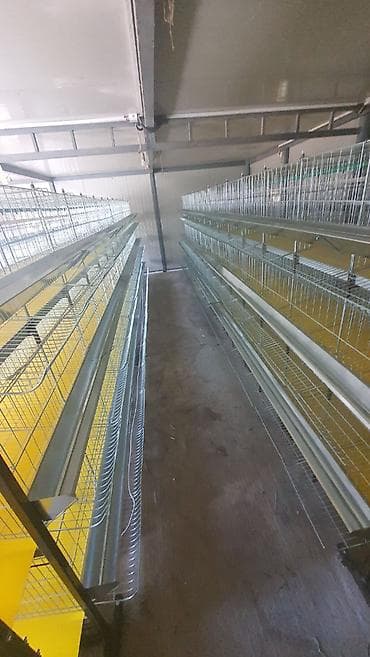 drveni kavez za pse: Prodaja pocinkovanih kaveza za koke, pilice i zeceve u kompletu sa — 7