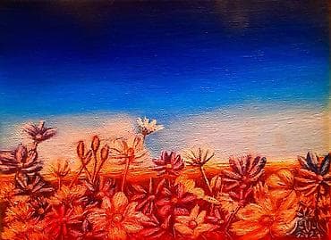 idea jelke cena: Slika, 50 x 60 cm, Novo — 10