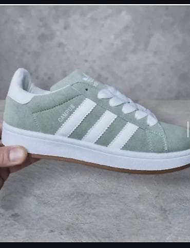 vdr patike: Adidas Campus patike – pastelno zelena boja - Model: Adidas Campus - — 1