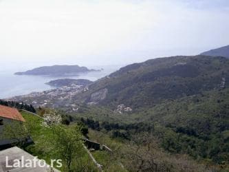 prodaja kuca zajecar: 432 ares, Građevinarstvo, Vlasnik — 7
