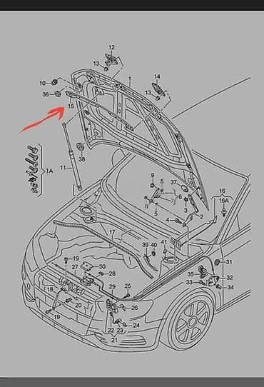 kasa za oruzje: ŠTITNIK HAUBE LAJSNA ZA AUDI A3 | Audi a3 štitnik haube audi 8v0 — 3
