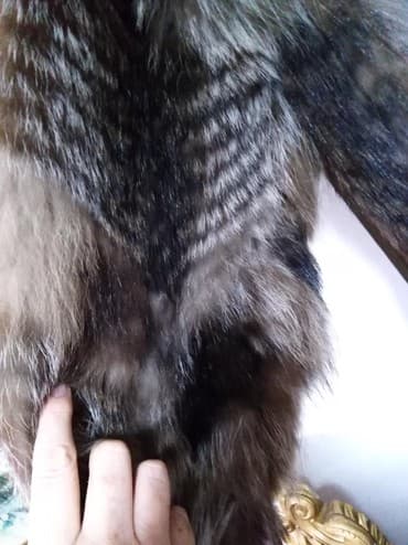 jakne sa krznom novi sad: Bunda malo nošena duga odgovara br 40/42 bogata krznom — 2