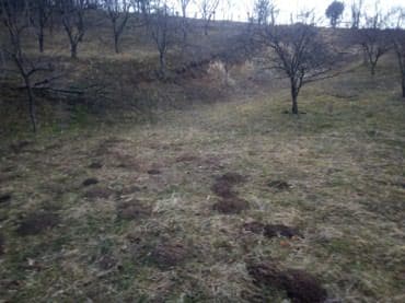 kuce na selu: Prodajem ili bih menjao tri vezana placa u Loznici od 30 ari sa — 4
