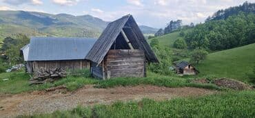 crvenka prodaja kuca: 40 ares, Vlasnik — 6