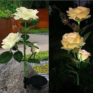 cipelarnik beli: 2 Solarne ruze Ove solarne dekorativne lampe nisu samo predivan — 2