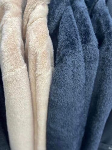 tedi kaputi: Tedi: 4200 dinara — 3