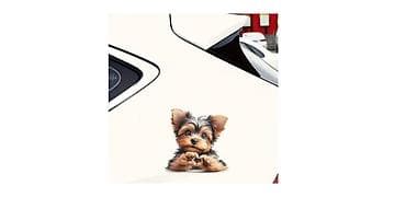 site:.rs "m 725dab s": Nalepnica za automobil - Yorkie Nalepnica za automobil. Dimenzije — 2