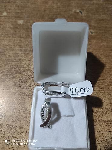 Srebrne minđuše u kutijici - Elegantne minđuše od belog/srebrnog