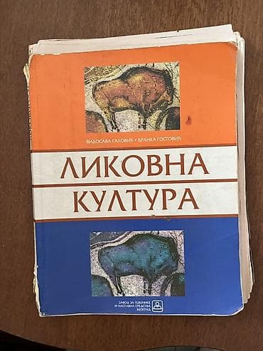 Učbenik: Likovna kultura Autori: Vidosava Galović, Branka Gostović
