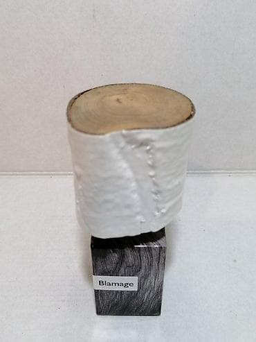 Lične stvari: NASOMATTO BLAMAGE EXTRAIT DE PARFUM 30ML TSTR | Nasomatto Blamage — 4