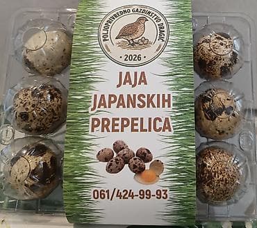 psi na poklon vrsac: Jaja japanskih prepelica pakovanje 12 komada 200 dinara i pakovanje 30 — 2