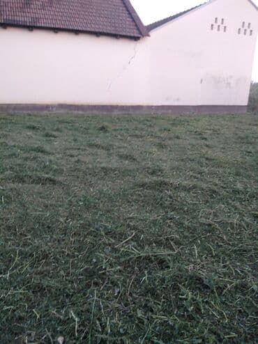 kuce na selu: 100 kv. m, 3 sobe — 10