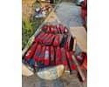 rezervne sijalice za auto: NOSAC SIJALICA U STOP LAMPI ZA FORD FIESTA, FOCUS, FUSION OD 2002. DO — 5
