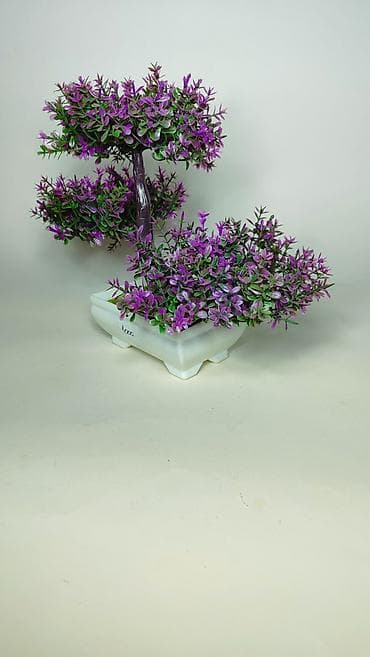 Kućni dekor: Dekorativno bonsai drvo u saksiji - Realistična bonsai kompozicija sa — 4