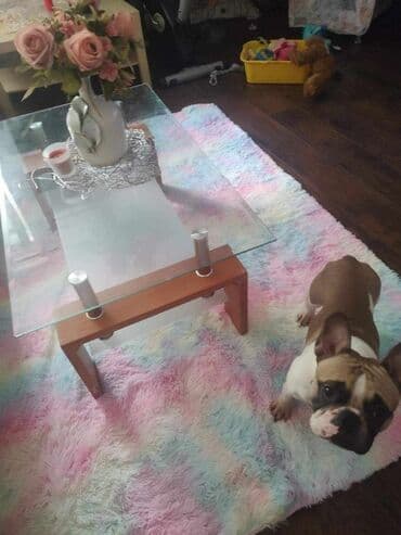 tepih land: NOVO NOVO NOVO NOVO NOVO CUPAVI TEPIH PERIV U MASINI NA 30 STEPENI — 5