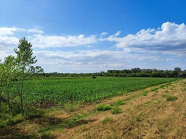 pronađi mi poslovni prostor za izdavanje na teritoriji beograda od 850m2 do 1200m2: Zemljište na Savi pored Šapca, površine 2.7 ha. Trenutno je obradivo — 1