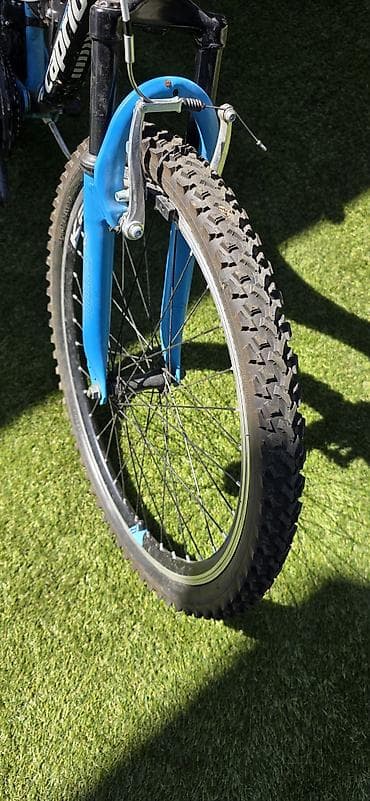 kopačke na prodaju: Dečiji/teen MTB bicikl Capriolo CTX - Veličina točkova: 24 inča, sa — 5