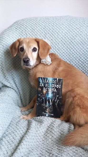 Bicycles: Knjiga: Šapice sa hladnog betona Autor: Tina Horvat Jezik: srpski — 2