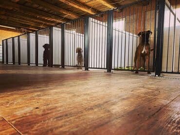 Sweatpants: Hotel za pse Ideal Da li planirate putovanje, posao ili odmor, a ne — 8