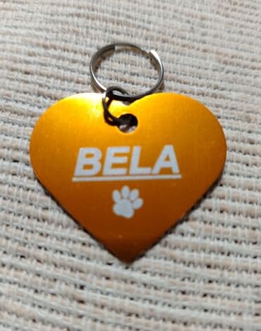fen za pse: Personalizovani privesci za pse. Licna karta vasih kuca😃 Ime i broj — 20