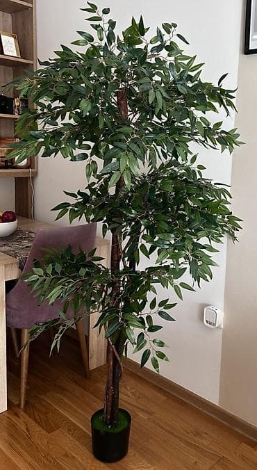 Palme: Veliko dekorativno veštačko drvo u saksiji - Visina: oko 180–200 cm — 1