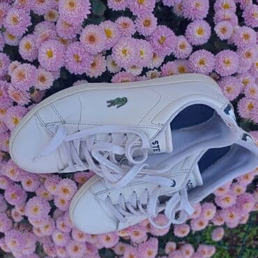 alexander mcqueen patike usce: Lacoste, 36, bоја - Bela — 6