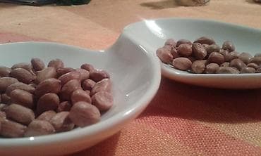 Houseplants: Porcelanska cinija za grickalice,semenke,bombone,i slicno fina bela — 2