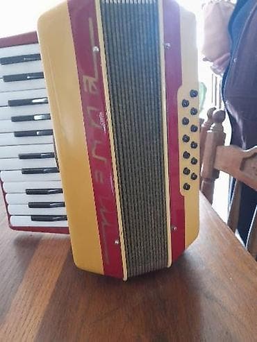 muzicki instrumenti: Harmonika sa klavijaturom – polukoncertni model kompaktnih dimenzija — 2