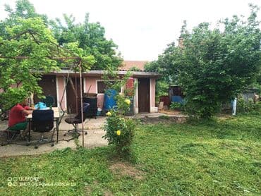 dobos kuce golubinci: 18 sq. m, 2 bedroom — 16