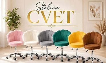 mammut stolice: Cvet stolica ⭐ Elegantna tapacirana stolica sa školjkastim, „cvet“ — 2