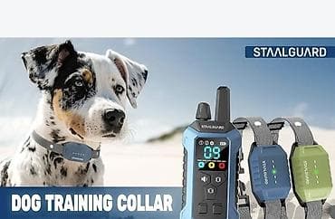 Pet Equipment & Accessories: STALGUARD ST30-Pro DUAL – elektronski komplet za obuku pasa - Komplet — 3